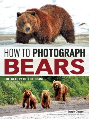 cover image of How to Photograph Bears